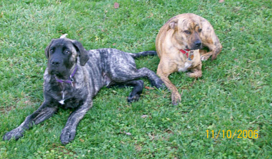 4 months old, pictured with friend with Katie