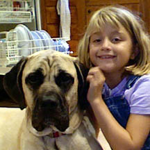 Mudge - Fawn Female American Mastiff