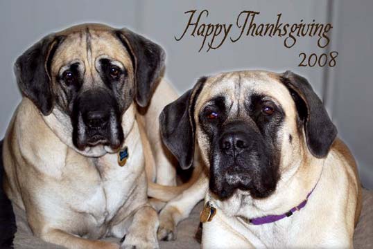 Flynn at 13 months old on the right with her big sister Cooper at 3 years