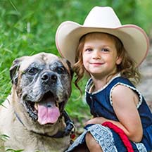 Tank - Fawn Male American Mastiff