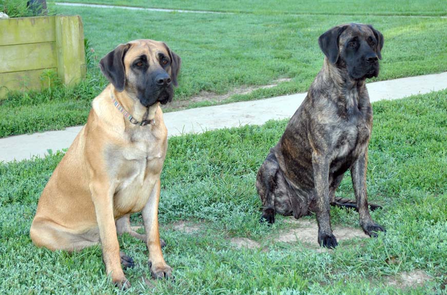 Morgan at 1 year old; Brandi at 2 years old