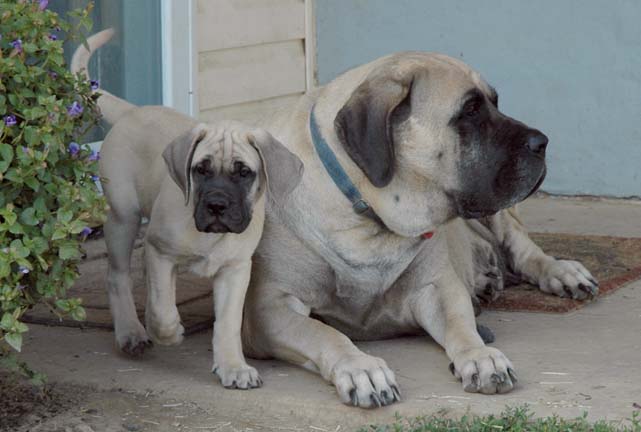 2 months old with her mom Tessa at 4 years old